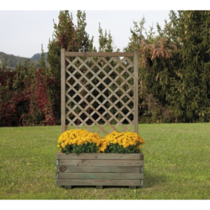 Composizione Margherita Cm 80X40X135 H. Losa