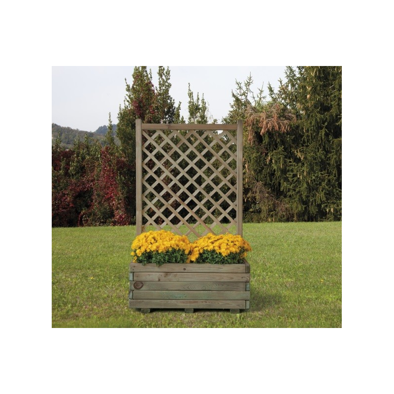 Composizione Margherita Cm 80X40X135 H. Losa