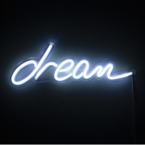 Zoom Scritta Luminosa Da Parete Dream 48 X 26,5 H3,5 Cm