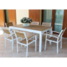 Poltrona Cayman da Esterno in Alluminio con Cuscino