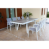 Tavolo Seattle Allungabile 205-265x105 in Alluminio da Giardino