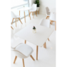 TAVOLO LIONE 80 X 80