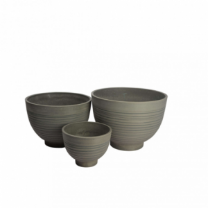 Zoom VASO PICCOLO NARCISO