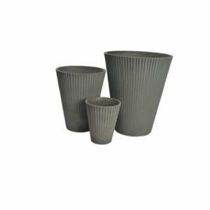 Zoom VASO MEDIO IRIS