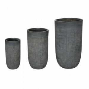 Zoom SET VASI GLICINE