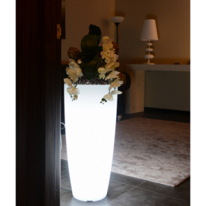 Zoom VASO LUMINOSO HYDRA 70 h