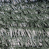 Siepe sintetica pino 150x300 cm decorativa resistente esterno