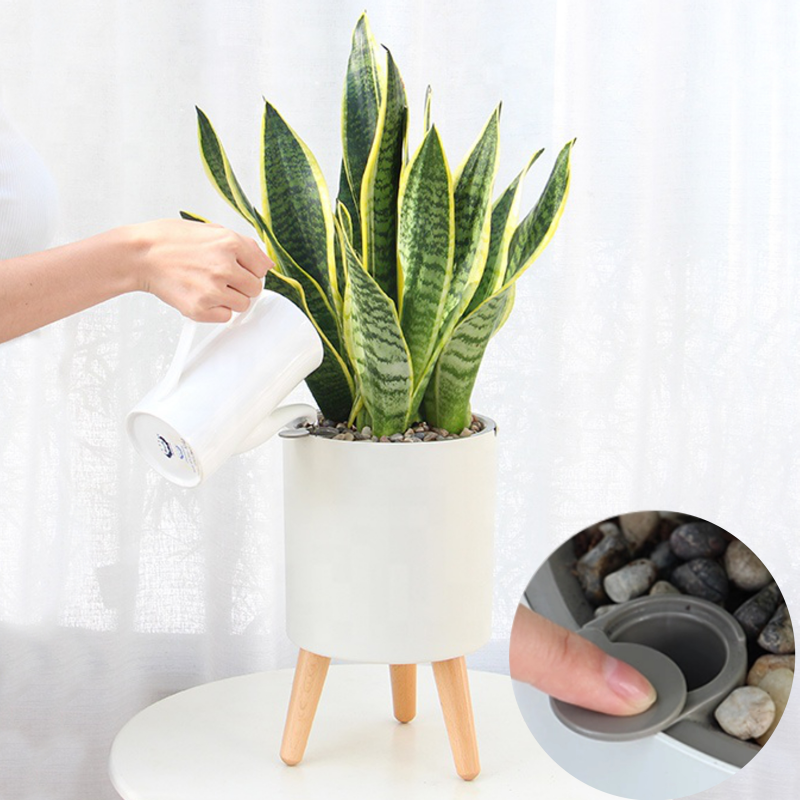 VASO AUTOINNAFFIANTE PER ESTERNO / INTERNO CALLA - A TOMASUCCI