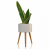 VASO AUTOINNAFFIANTE PER ESTERNO / INTERNO CALLA - C TOMASUCCI