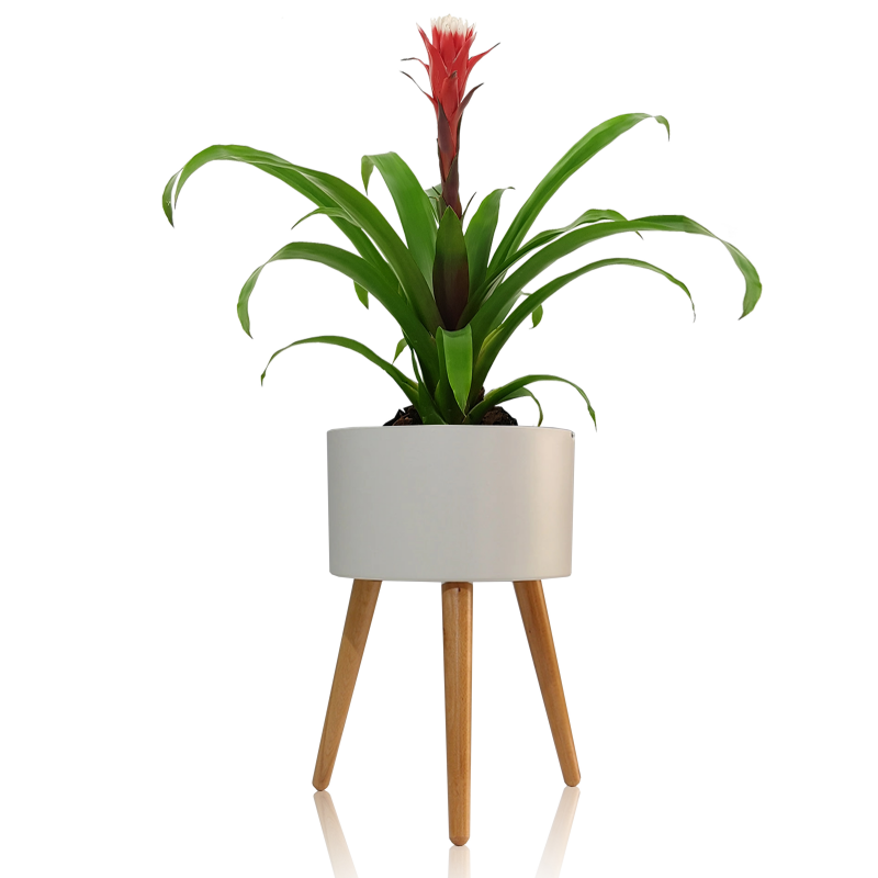 VASO AUTOINNAFFIANTE PER ESTERNO / INTERNO CALLA - C TOMASUCCI