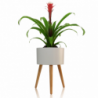 VASO AUTOINNAFFIANTE PER ESTERNO / INTERNO CALLA - C TOMASUCCI