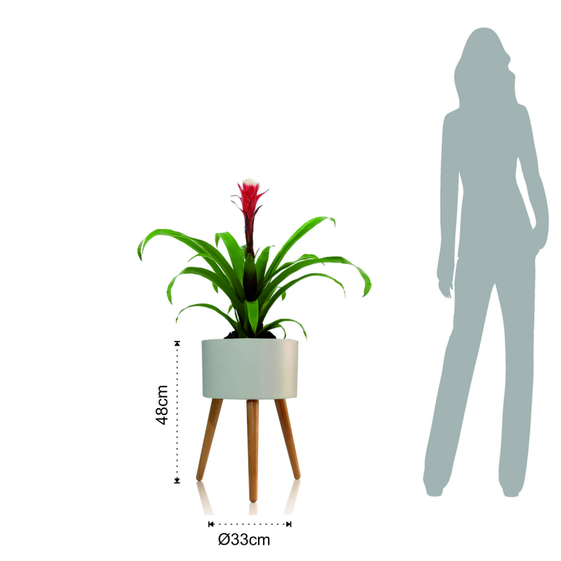 VASO AUTOINNAFFIANTE PER ESTERNO / INTERNO CALLA - C TOMASUCCI