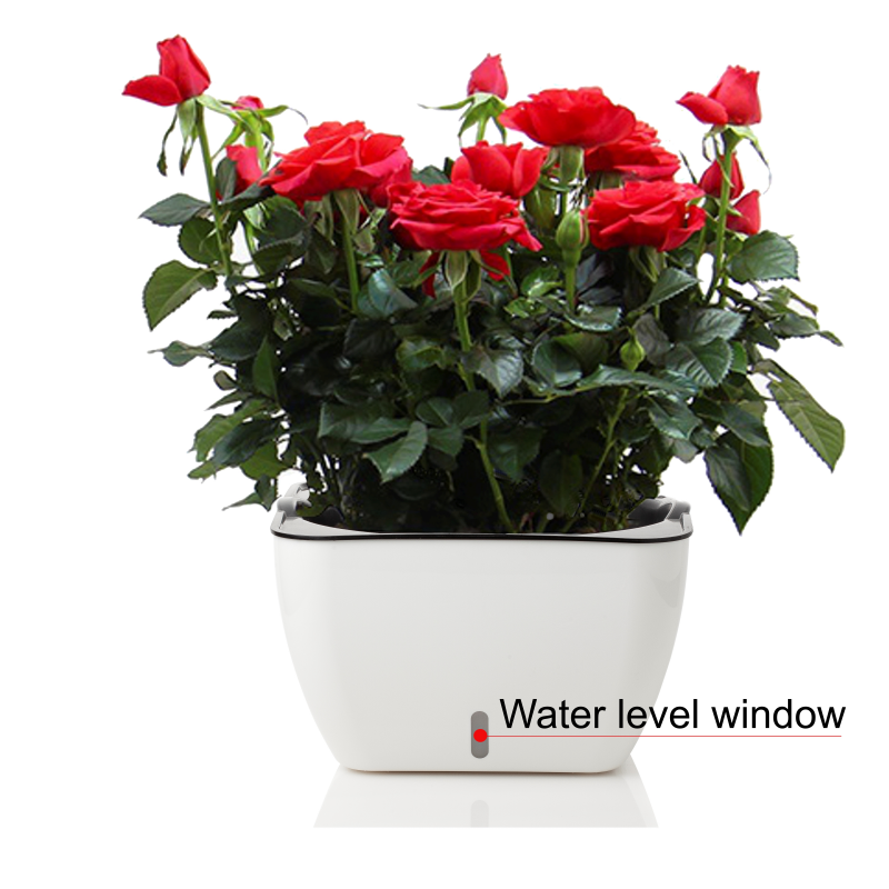 VASO AUTOINNAFFIANTE PER ESTERNO / INTERNO LILY TOMASUCCI