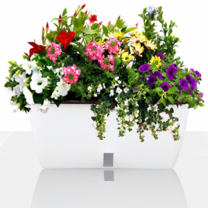 Zoom VASO AUTOINNAFFIANTE PER ESTERNO / INTERNO DAHLIA BIG TOMASUCCI