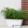 VASO AUTOINNAFFIANTE PER ESTERNO / INTERNO DAHLIA BIG TOMASUCCI