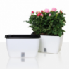 VASO AUTOINNAFFIANTE PER ESTERNO / INTERNO DAHLIA SMALL TOMASUCCI
