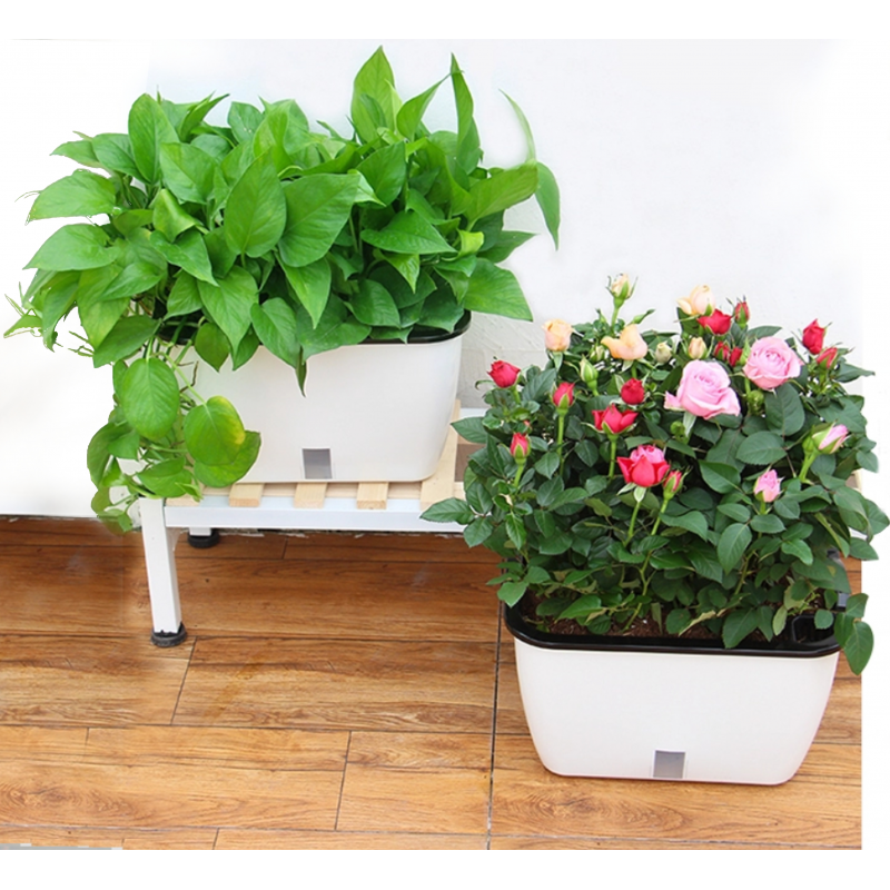 VASO AUTOINNAFFIANTE PER ESTERNO / INTERNO DAHLIA SMALL TOMASUCCI
