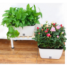 VASO AUTOINNAFFIANTE PER ESTERNO / INTERNO DAHLIA SMALL TOMASUCCI