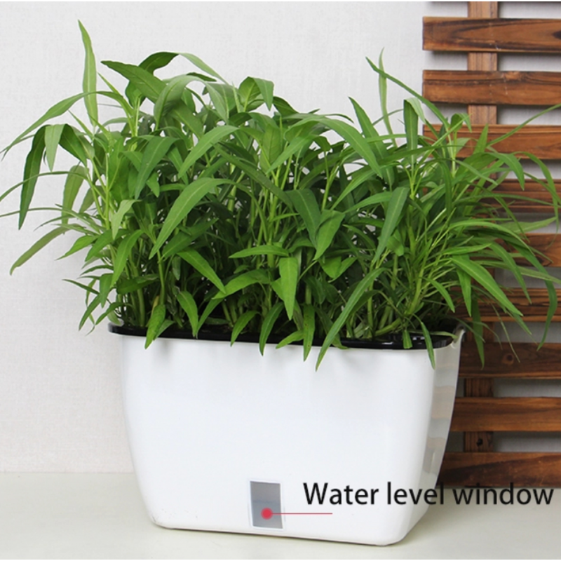 VASO AUTOINNAFFIANTE PER ESTERNO / INTERNO DAHLIA SMALL TOMASUCCI