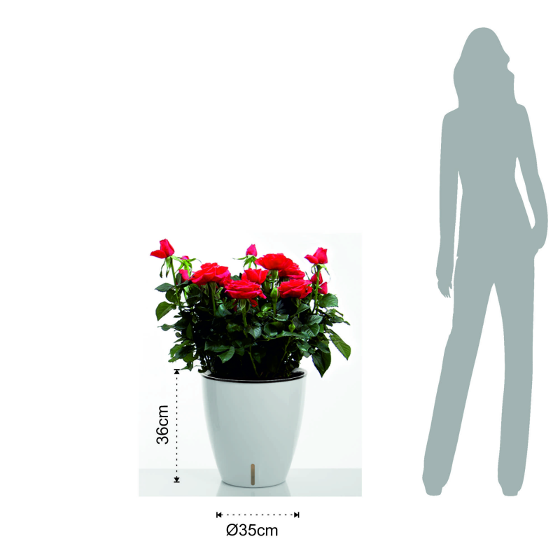 VASO AUTOINNAFFIANTE PER ESTERNO / INTERNO TULIP TOMASUCCI