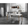 Set di 4 SEDIE SALLY WHITE TOMASUCCI