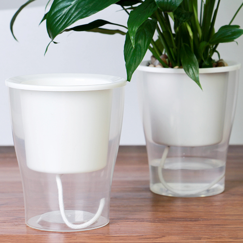 VASO AUTOINNAFFIANTE PER ESTERNO / INTERNO RAFFY LARGE TOMASUCCI