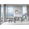 Tavolo allungabile 90x120/224 cm Roxell Premium