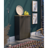 Scarpiera 2 ante IDEA antracite-rovere