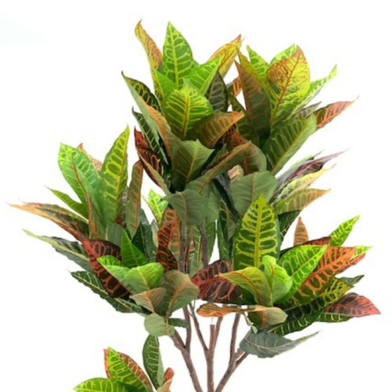 Pianta ornamentale Croton 120 cm | levante shop