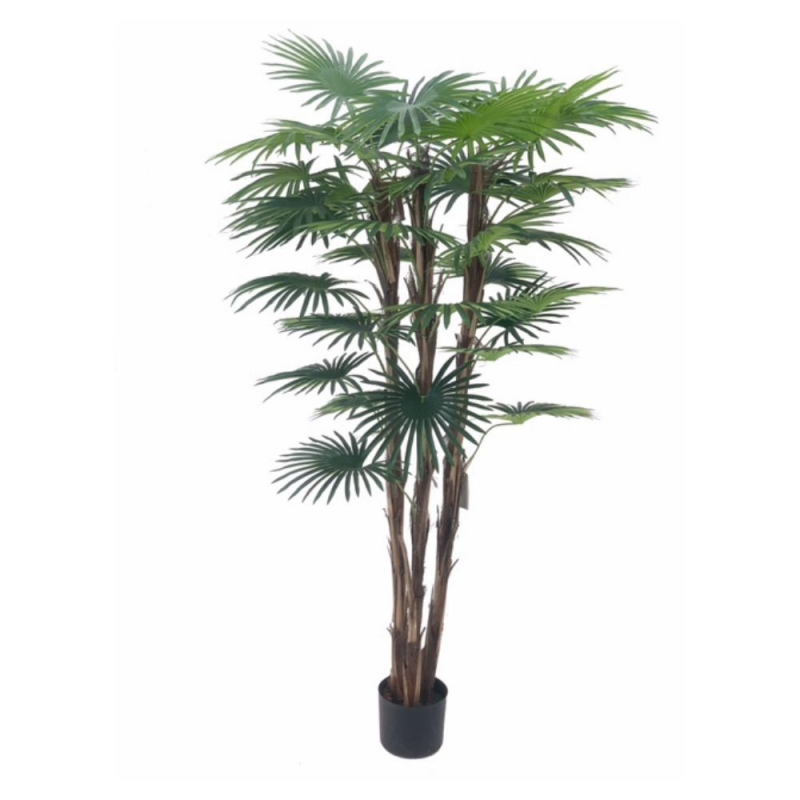 Pianta ornamentale Palma 140 cm | levante shop