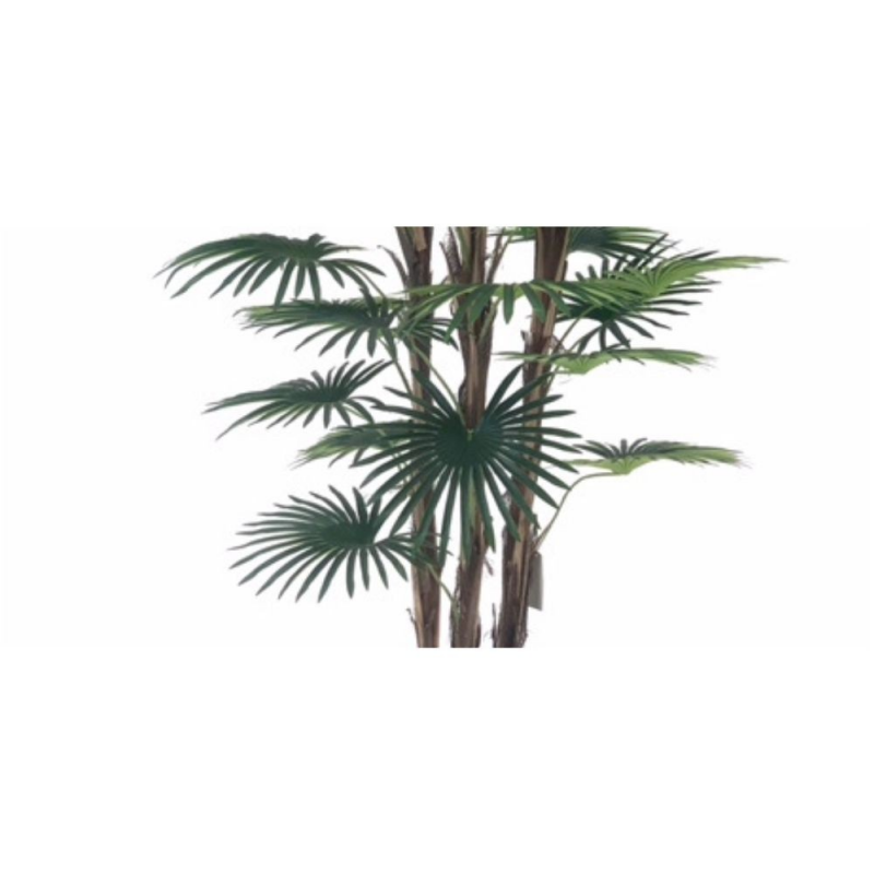 Pianta ornamentale Palma 140 cm | levante shop