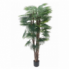 Pianta ornamentale Palma 170 cm | levante shop