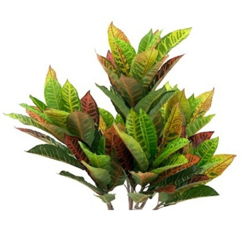 Pianta di Croton ornamentale 110 cm 97 foglie realistica