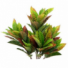 Pianta di Croton ornamentale 110 cm 97 foglie realistica