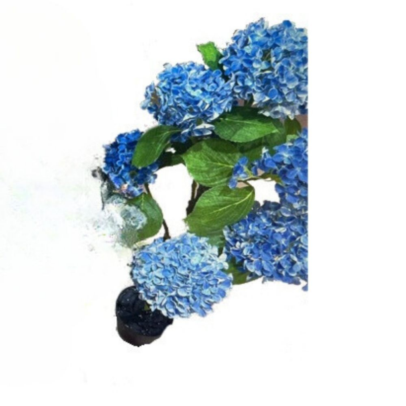 Pianta ornamentale Ortensia blu 150 cm | levante shop
