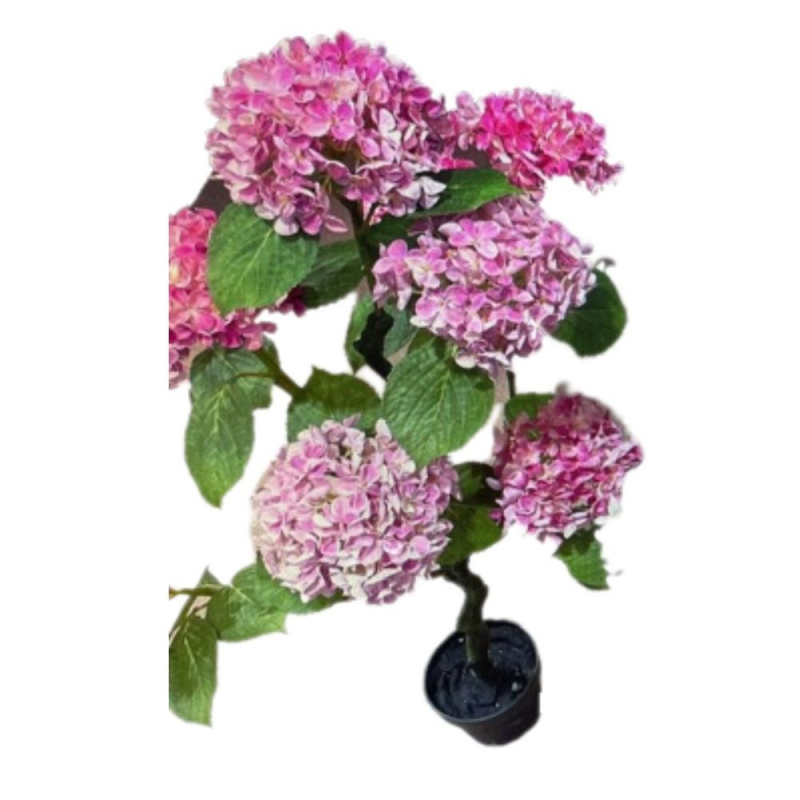 Pianta ornamentale Ortensia rosa 150 cm | levante shop