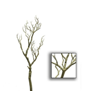 Ramo marrone decorativo 0,5xH66x0,5 cm moderno naturale