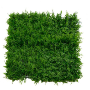 Pannello misto felce 100x100 cm decorazione verde da parete