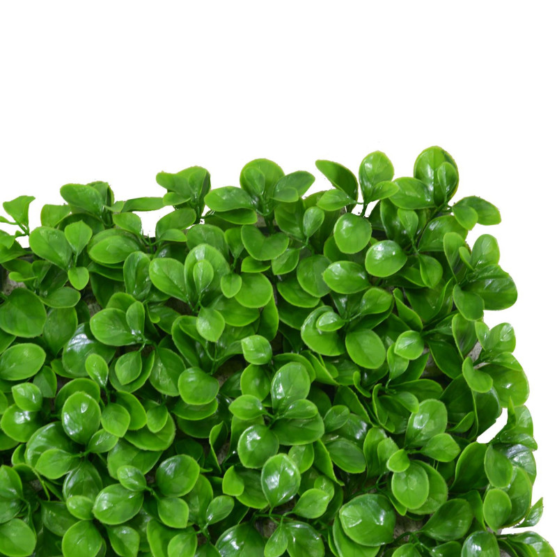 Pannello peperomia 50x50x0,5 cm decorazione verde realistica