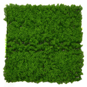 Pannello lichene stabilizzato 100x100 cm decorazione naturale