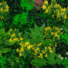 Pannello giungla 100x100 cm decorazione verde scenografica