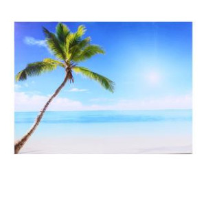 Quadro stampa Bluetooth mare palma azzurro 80x60x4 cm moderno