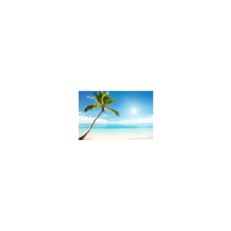 Quadro stampa Bluetooth mare palma azzurro 80x60x4 cm moderno
