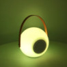 Lampada LED plastica ricaricabile musica multicolor tondo 20x20 cm