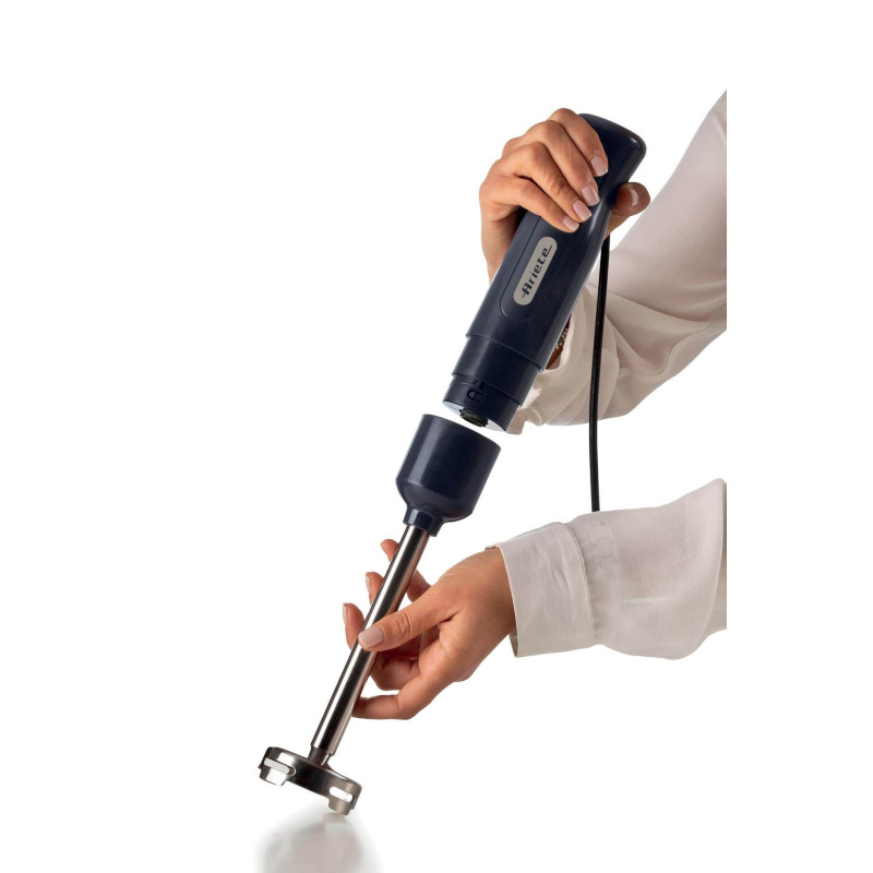 Frullatore a Immersione 700W 2 Velocità Lama Inox Grigio