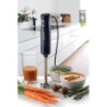 Frullatore a Immersione 700W 2 Velocità Lama Inox Grigio
