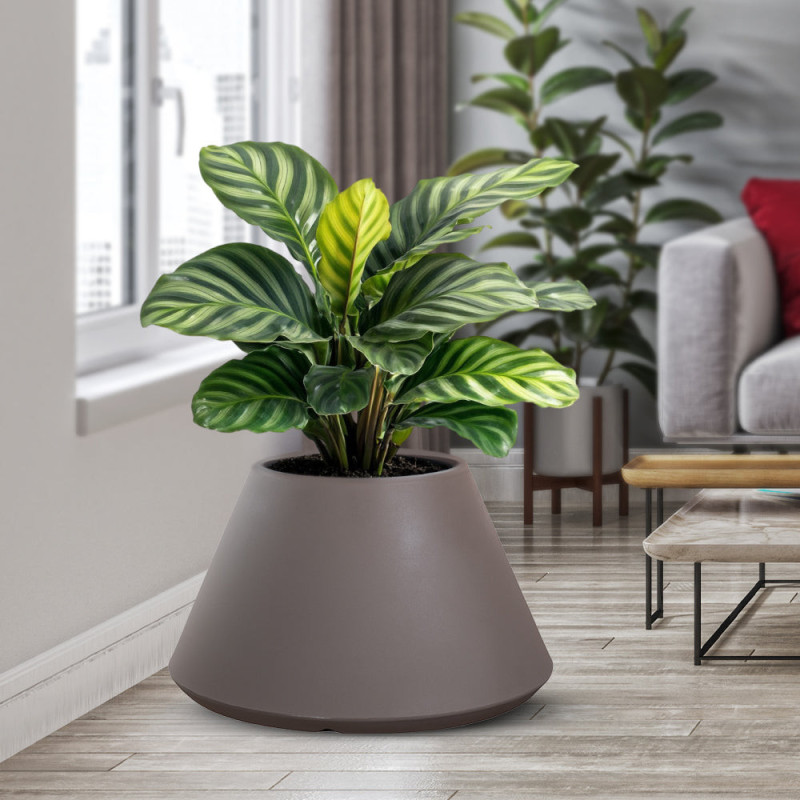 Vaso Tortora Resina | Levante Shop