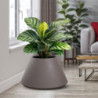Vaso Tortora Resina | Levante Shop