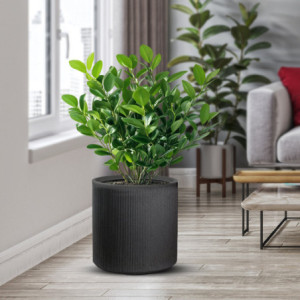Zoom Vaso in resina da esterno interno per piante tondo cilindrico di design d.36x35h Modigliani Grigio