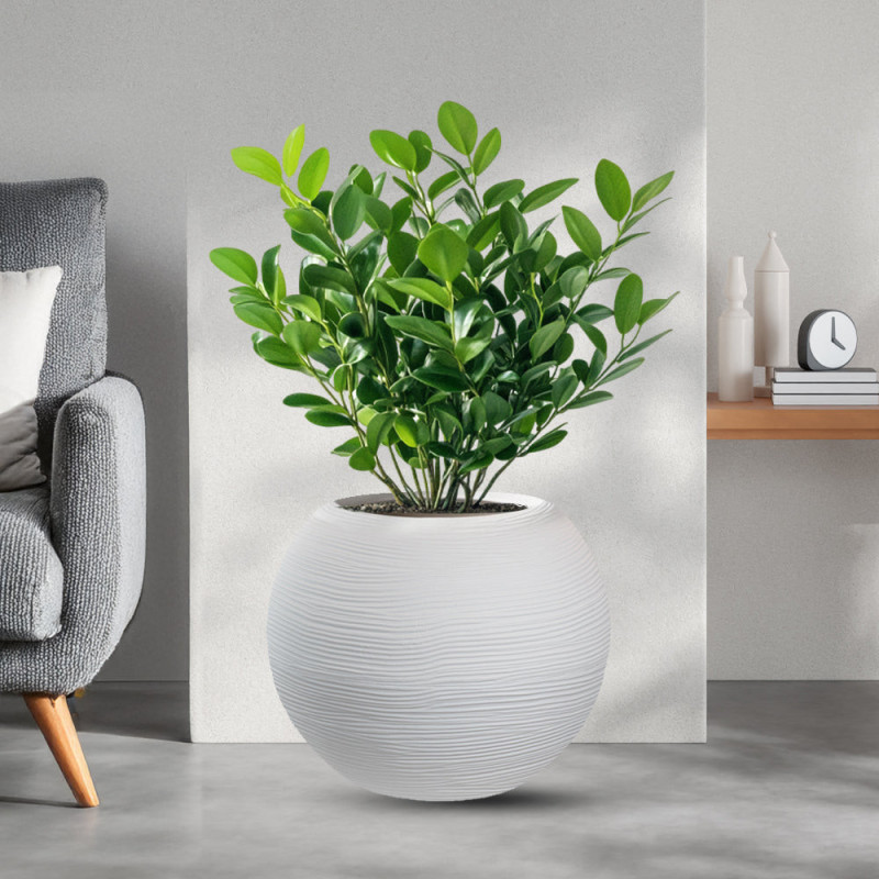 Vaso Bianco Resina | Levante Shop